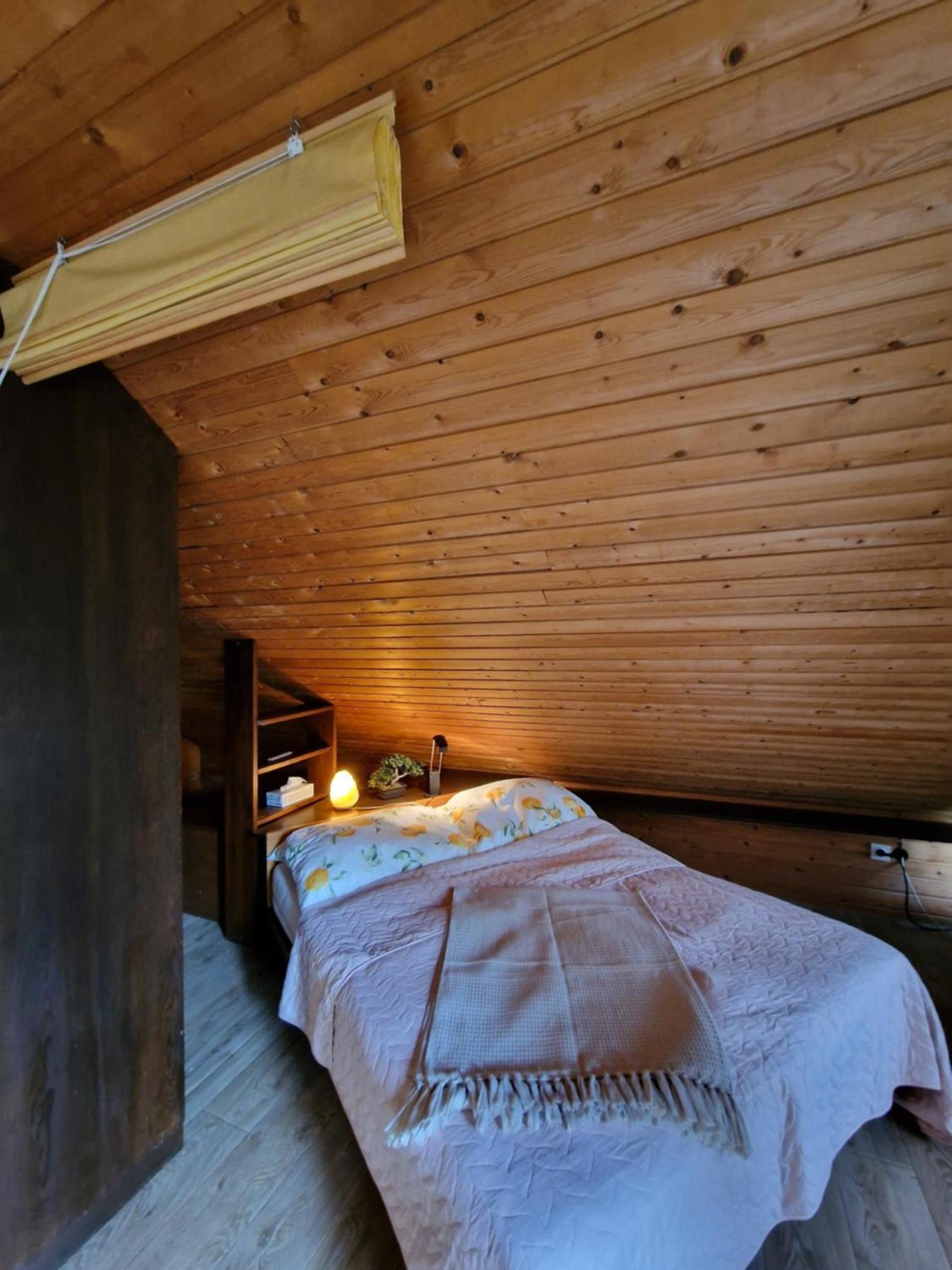 Vila Nana Bled Apartments & Rooms Екстериор снимка